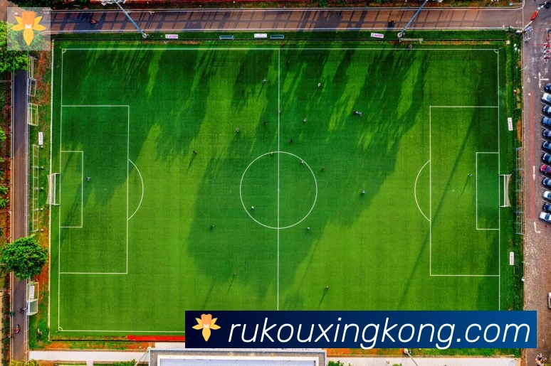 星空体育官网入口荣誉