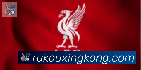 星空体育官网入口合作伙伴